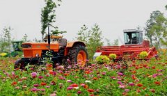 “十三五”大思路規劃， 哪些決定將影響農業行業