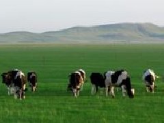 海南政府科研企業聯手，產業規劃目標2035年產果量26億個