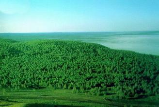 黨的十八大以來我國林業(yè)生態(tài)文明建設綜述