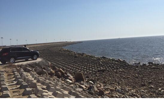 我院院長李文輝帶隊(duì)考察盤錦市大洼縣文化旅游項(xiàng)目