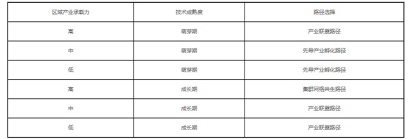 區(qū)域戰(zhàn)略性新興產業(yè)協(xié)同演化的要素與路徑探討