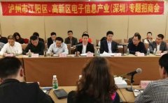 江陽區、瀘州國家高新區在深圳開展專題招商
