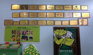 “芒果百色，香飄百地” 國內首家芒果精深加工特色產業基地申報進行時