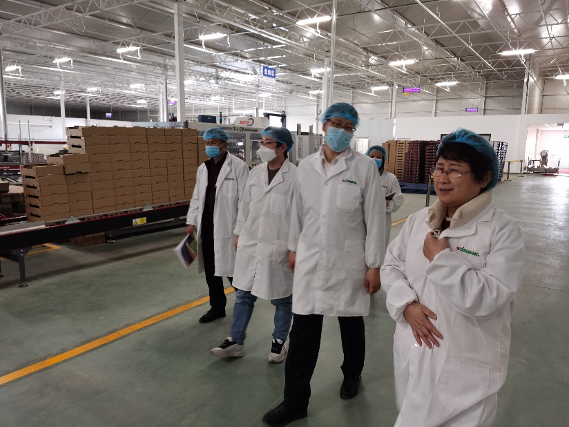 依托非耕地高效設施農業，民樂縣著力打造特色戈壁農業國家現代農業產業園