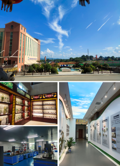 創建省級高新區，鶴城工業集中區邁入高質量發展快車道