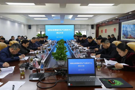 湘雁輸變電產業服務中心在長沙成立,湖南輸變電產業開啟發展新篇章