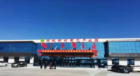 大同黃花，忘憂云州——云州區(qū)積極申創(chuàng)國(guó)家農(nóng)業(yè)現(xiàn)代化示范區(qū)