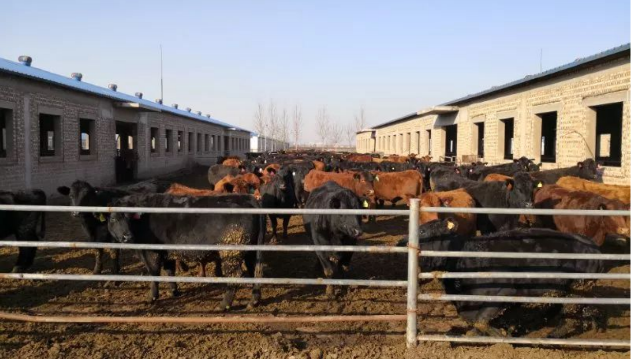 高新院賦能祁縣：雙輪驅動鑄就現(xiàn)代農業(yè)產業(yè)園標桿